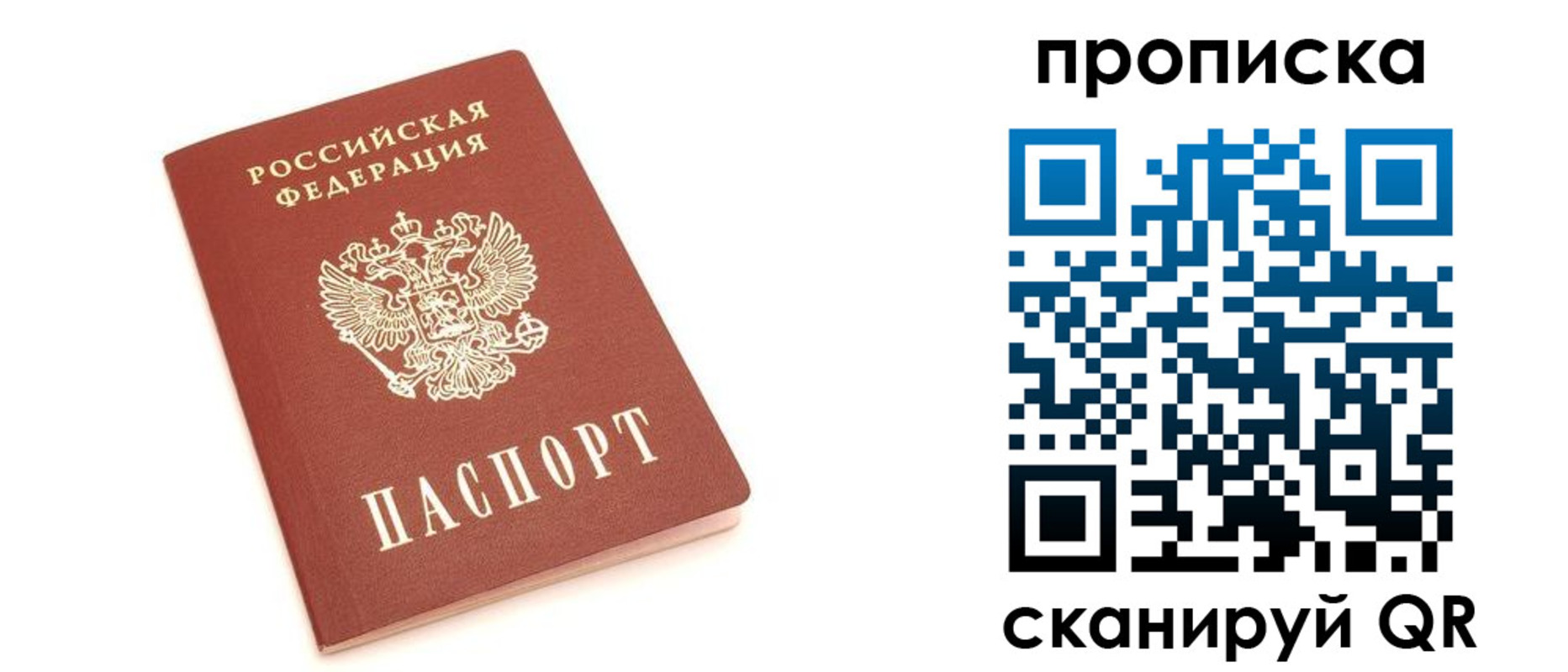 прописка 2025 в Кольчугино